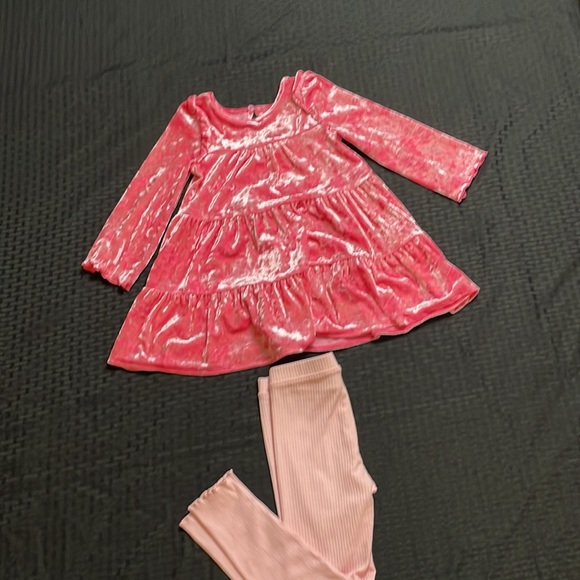 Cat & Jack Velour Pink Top  Size US XS (3T) and Old Navy pink Tights size 4T - Picture 15 of 15